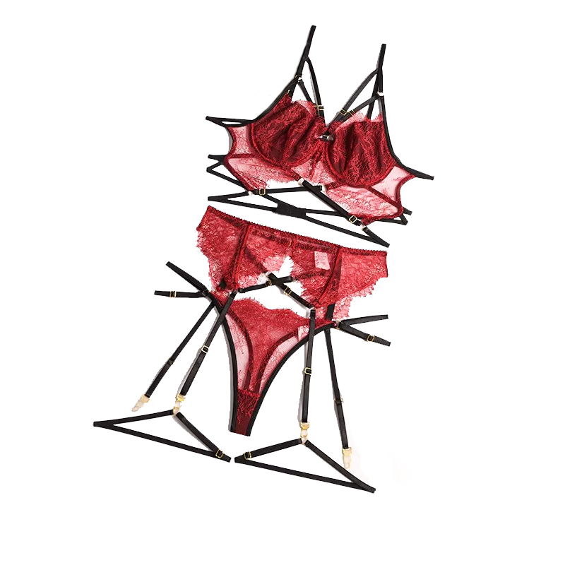 Lace Bralette Set - 女性のためのセクシーなレースのランジェリーセット,エロティックな下着,透明なブラとガーター付き,パジャマ,新しいコレクション